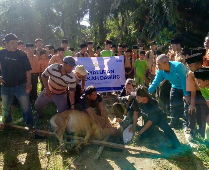 Perkuat Ukhuwah dan Jiwa Sosial, MTsN 2 Langkat Laksanakan Penyembelihan Hewan Qurban Bersama Yayasan Baitul Maal Brilian (YBM Brilian)